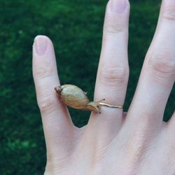 Close-up of cropped hand holding snail