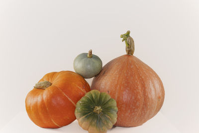 Close-up of pumpkin against white background