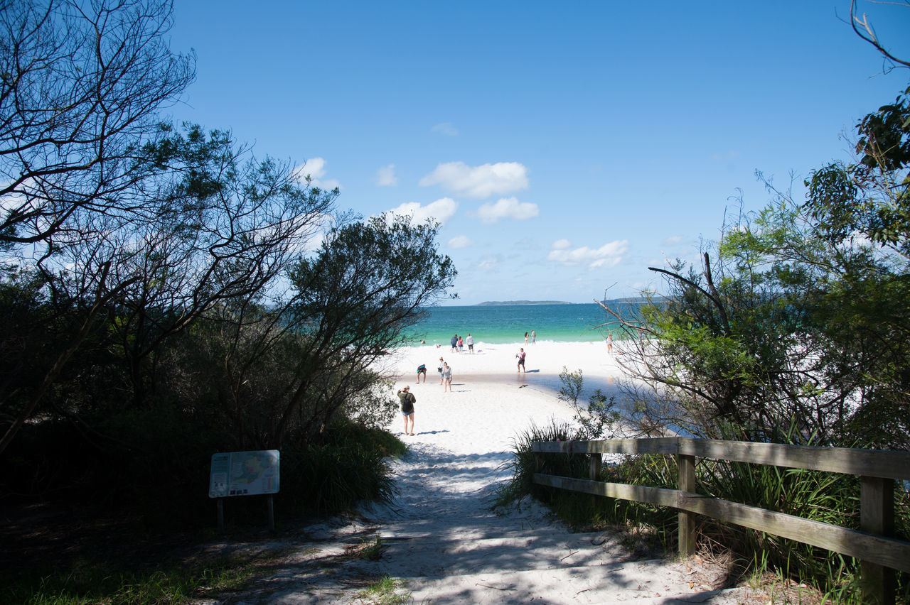 Jarvis bay