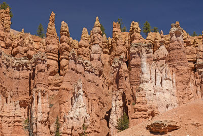 The hoodoos of bryce canyon along the queens garden trail in utah