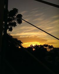 Silhouette of trees at sunset