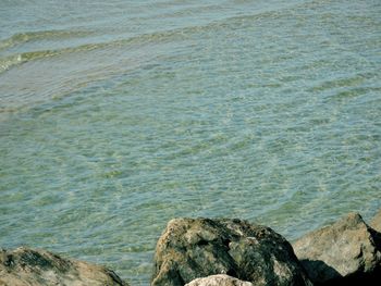 High angle view of rocks on beach