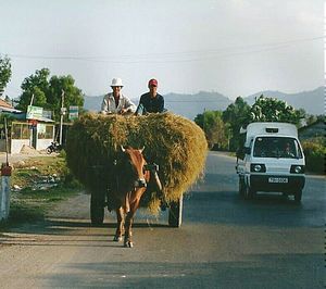 Rear view of woman on road