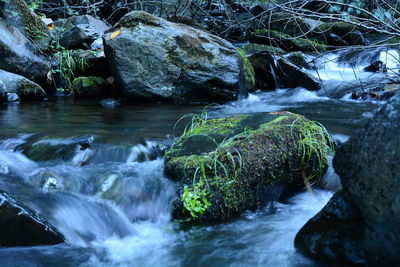 Scenic view of waterfall