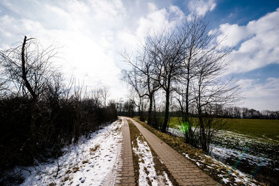 Bare trees on field against sky during winter