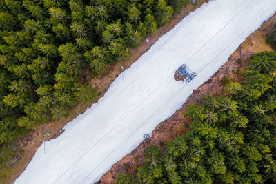 High angle view of road amidst trees