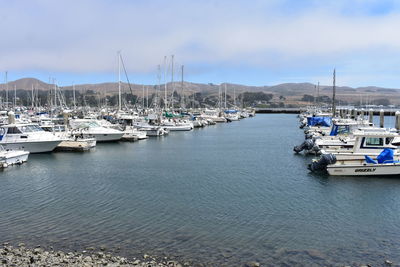 Sailboats moored at harbor