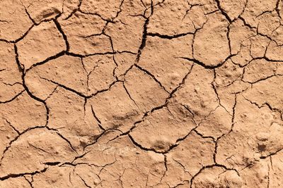 Close-up of cracked land