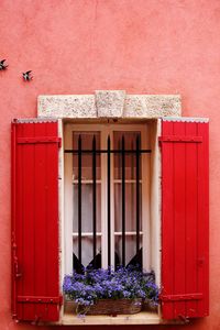 Potted plant on red wall of house