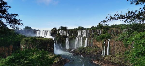 View of waterfall along trees