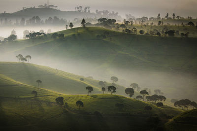 Scenic view of landscape against sky