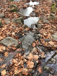 Full frame shot of water