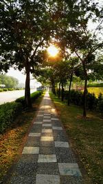 Road passing through forest