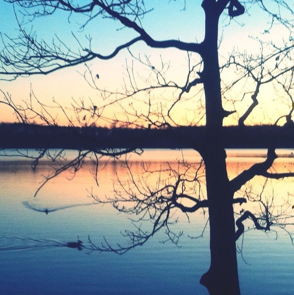 bare tree, silhouette, branch, tranquility, sunset, water, tranquil scene, tree, scenics, beauty in nature, nature, lake, sky, tree trunk, idyllic, reflection, clear sky, dusk, sea, non-urban scene