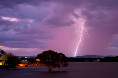 Lightning over silhouette trees against sky at night