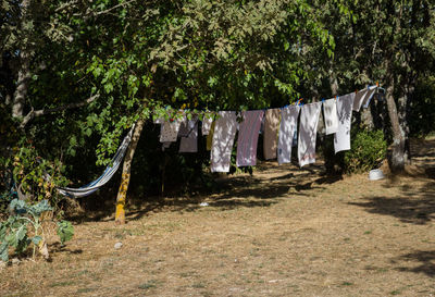 Clothes drying on rope in forest