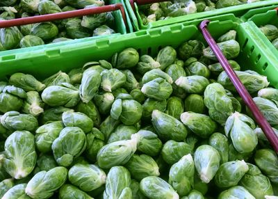 High angle view of vegetables for sale at market stall