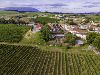 Scenic view of agricultural field by houses against sky