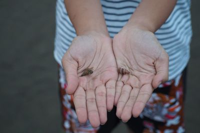 Midsection of woman holding animal shells