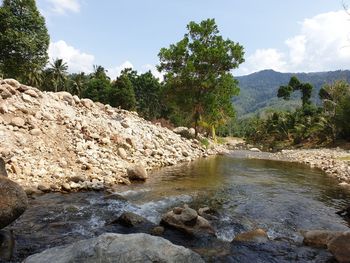 Scenic view of river by trees against sky