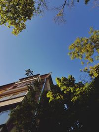 Low angle view of trees and building against sky