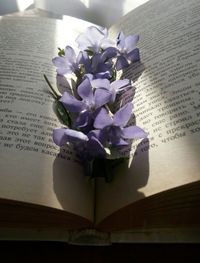 Close-up of purple flower on book