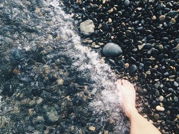 Low section of person standing in shallow water