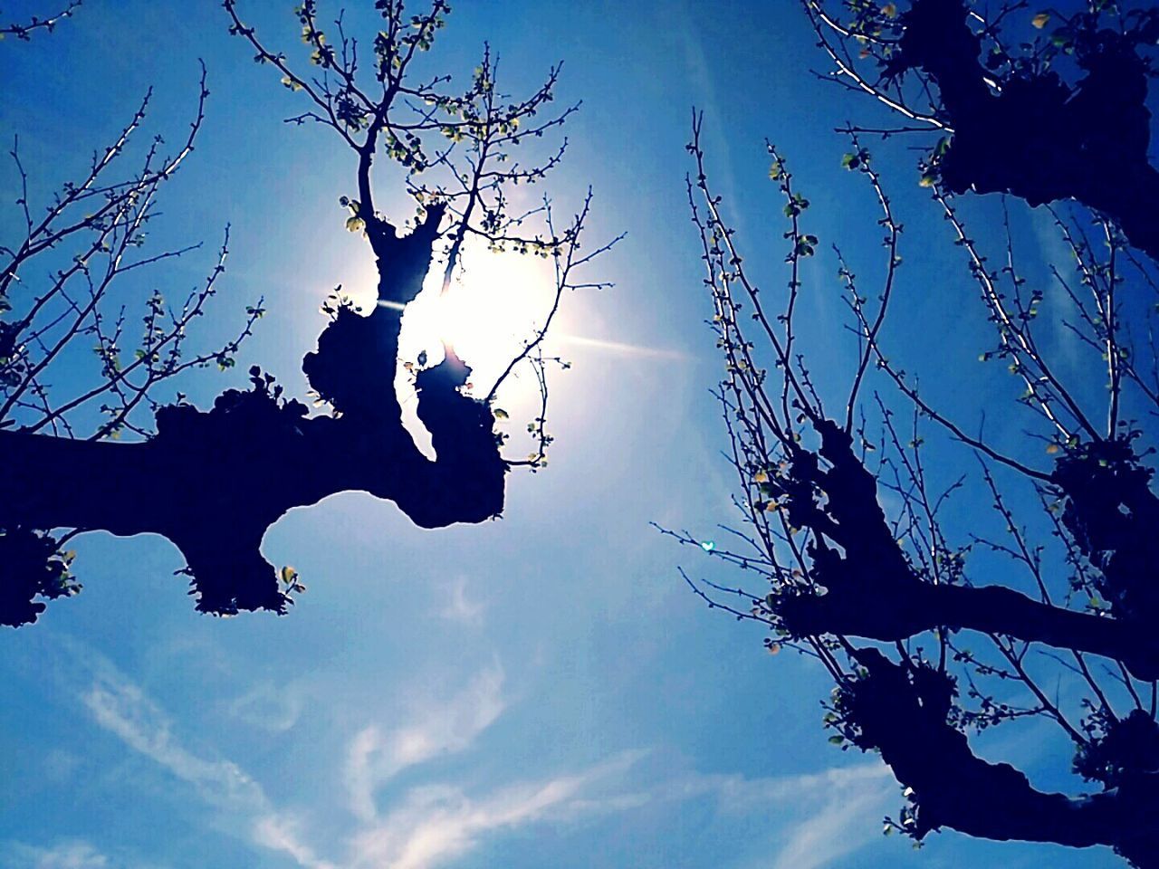 LOW ANGLE VIEW OF SILHOUETTE MAN AGAINST SKY