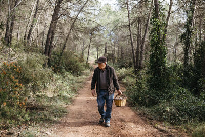 Senior man looking for mushrooms in the forest