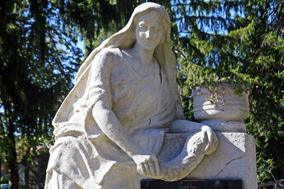 Low angle view of statue on tree trunk