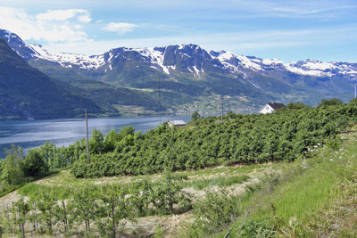 Scenic view of landscape against sky