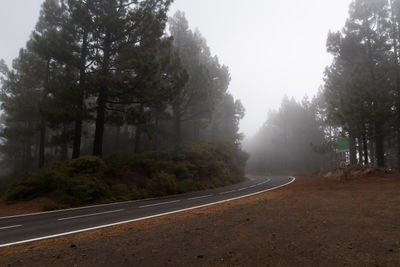 Empty road by trees against sky