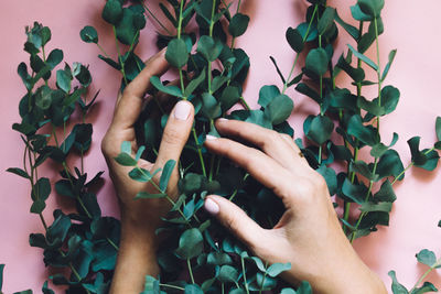 Midsection of person holding leaves