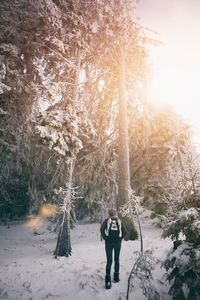 Rear view of woman walking in forest in winter