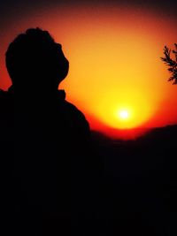 Silhouette of trees at sunset