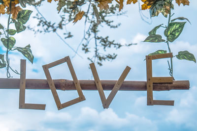 Low angle view of plant on table against blue sky