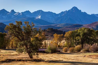 Scenic view of trees and mountains against clear blue sky