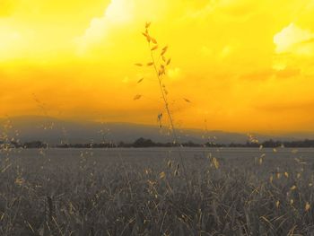 Scenic view of landscape at sunset