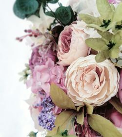 Close-up of pink roses in vase