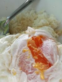 Close-up of meal served in bowl