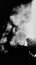 View of trees at night