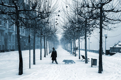 Person walking on snow covered landscape