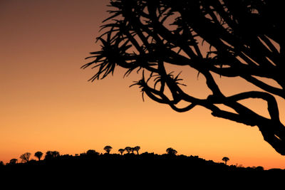 Silhouette trees against sky during sunset