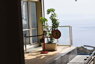 Potted plant by swimming pool against sea