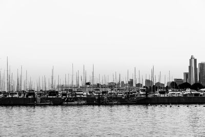Sailboats moored in harbor against clear sky