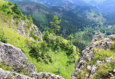 Scenic view of mountains