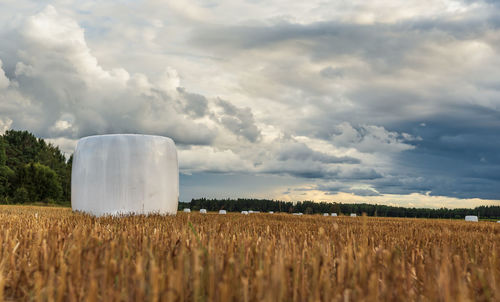 Scenic view of agricultural field against sky