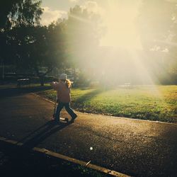 Sun shining through trees