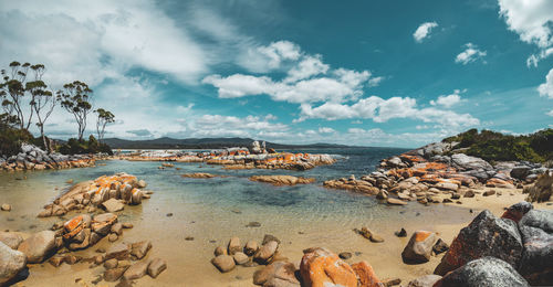 Scenic view of beach against sky