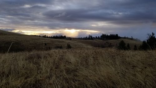 Scenic view of field against sky during sunset